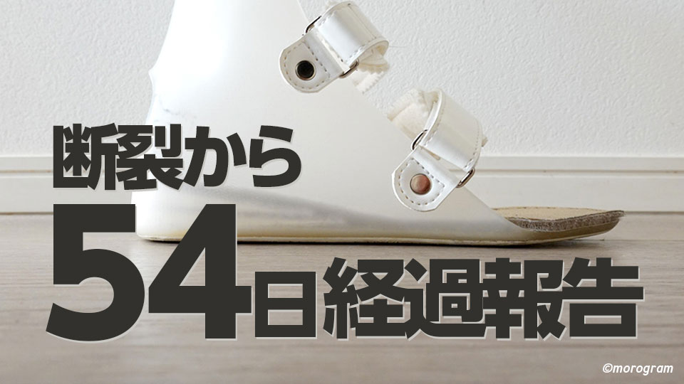 アキレス腱断裂から54日目の経過報告